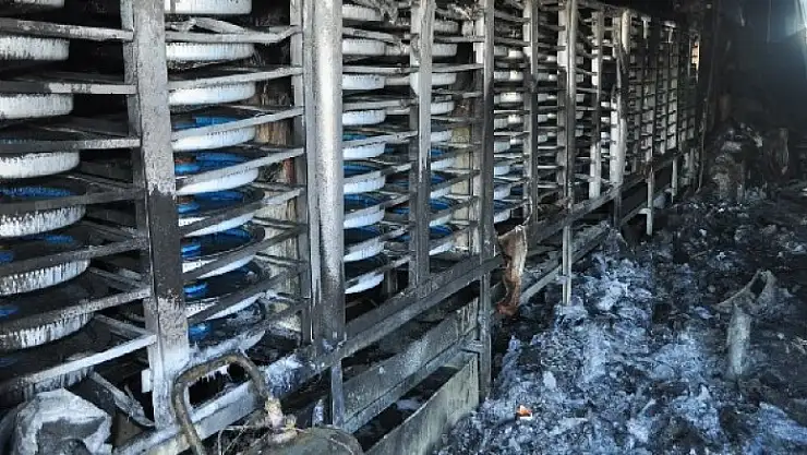 Milas’ta Yavru balık üretim tesisinde çıkan yangında, 39 milyon balık telef oldu