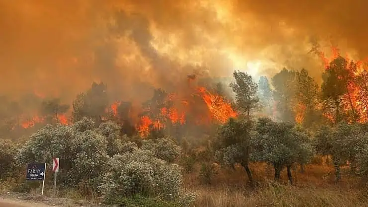 Muğla Valisi Akbıyık'tan Yangın Riskine Karşı Uyarı
