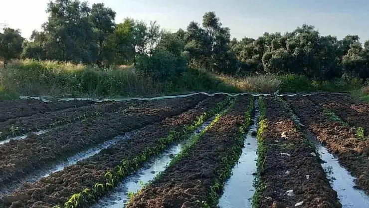 YK Enerji, Milas’ta Kuraklığa Karşı Adım Attı