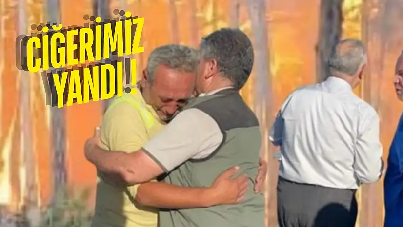 Eskişehir'den Kahreden Haber: 10 Orman İşçisi Şehit Oldu