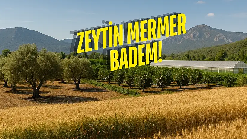 Evi Olan Kazanıyor! Muğla'nın Bu İlçelerinde Toprak Para Basıyor