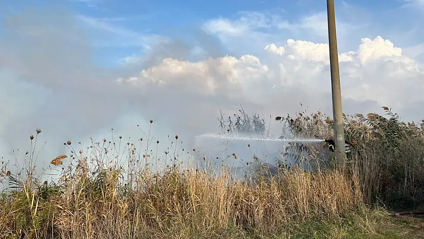 Milas Ekinambarı'nda Otluk Yangını Korkuttu