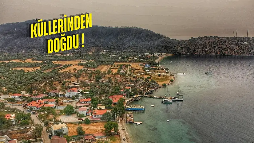 Milas'ın en serin kaçış noktası belli oldu: Yangından kurtulan cennet
