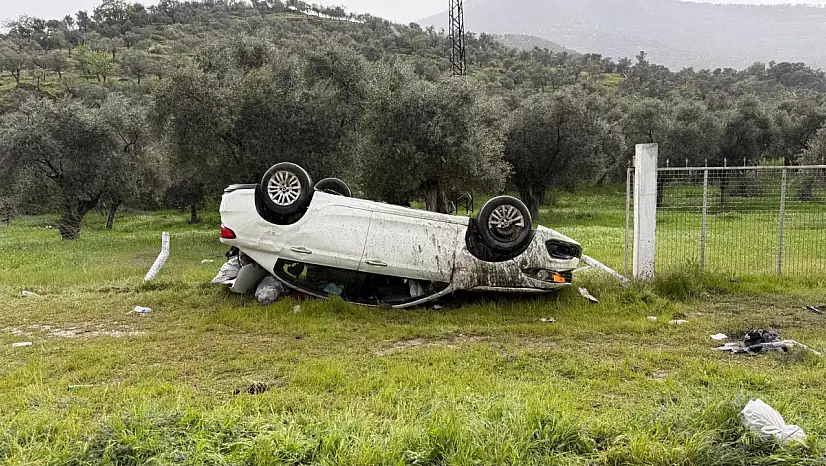 Milas'ta köpeğe çarpan araç takla attı: 2'si ağır 6 kişi yaralandı
