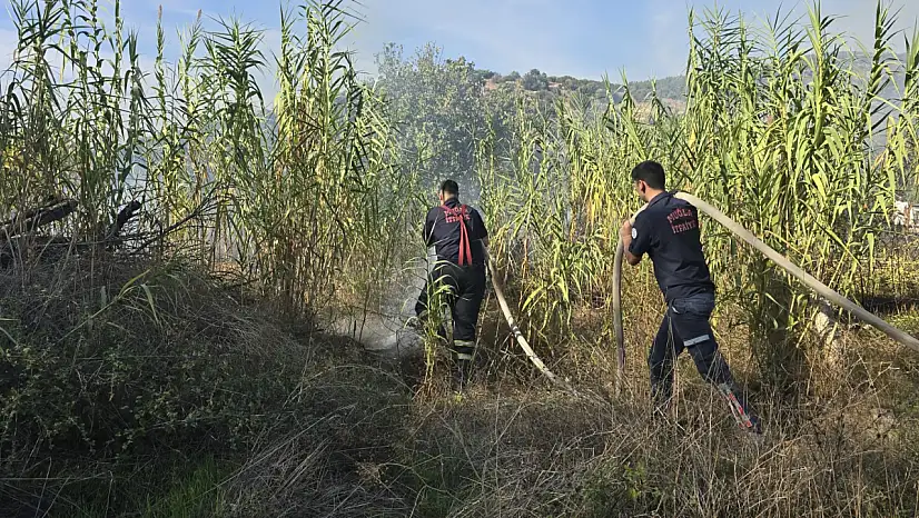 Milas'ta Sazlık Yangını Korkuttu