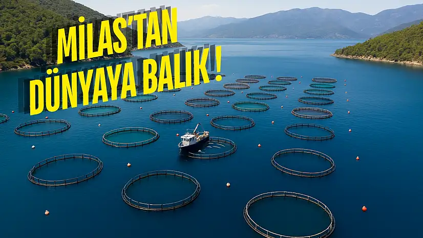 Muğla İhracatta Rekor Kırdı: Milas Ekonominin Lokomotifi Oldu