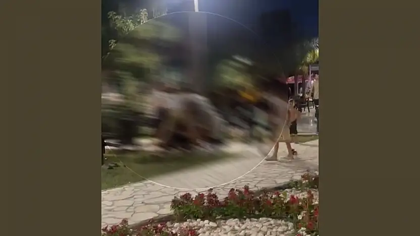 Esentepe Parkı'nda Şiddetli Kavga: Vatandaşlar Panik İçinde Parkı Terk Etti