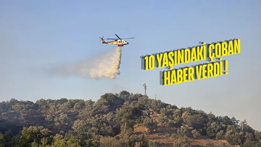 Havadan ve Karadan Müdahaleyle Güllük'teki Orman Yangın Söndürüldü