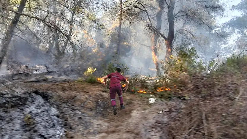 Milas Beçin'de Orman Yangını Büyümeden Söndürüldü