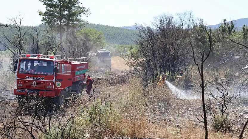 Milas Çamköy'deki Yangın Ormana Sıçramadan Söndürüldü