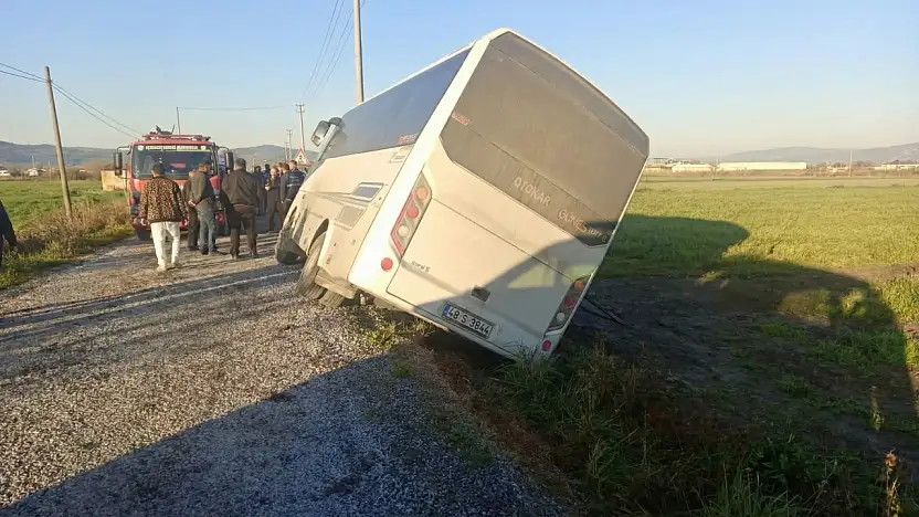 Milas Ekinambarı'nda İşçi Servisi Kaza Yaptı: Facia Kıl Payı Atlatıldı
