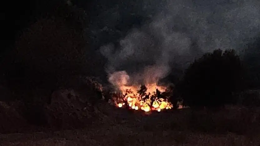 Milas'ın Dörttepe Mahallesi'nde Zeytinlik Alanda Yangın Başladı