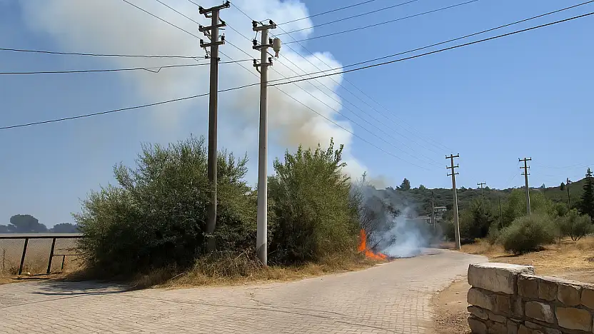 Milas'ın Kafaca Mahallesi'nde Otluk Yangını Korkuttu