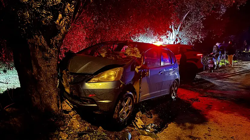 Milas'ta otomobil zeytin ağacına çarpıp takla attı: Sürücü yaralandı