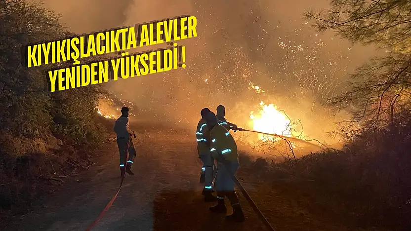 Milas'ta üç ayrı noktada yangın: Akkovanlık, Kıyıkışlacık ve Ulaş'ta alevlerle mücadele sürüyor
