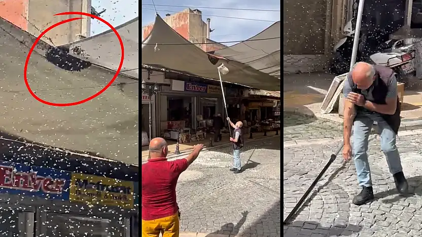 Sokak ortasında patlayan arı kovanı mahalleyi alarma geçirdi