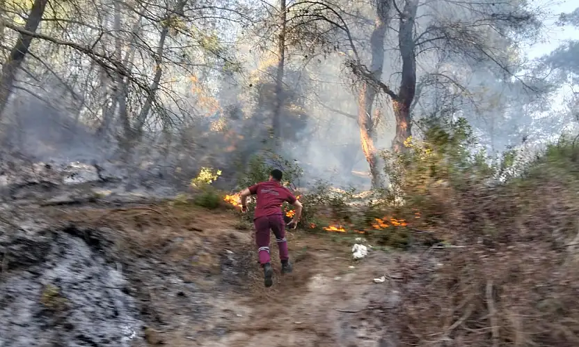 Milas Beçin'de Orman Yangını Büyümeden Söndürüldü