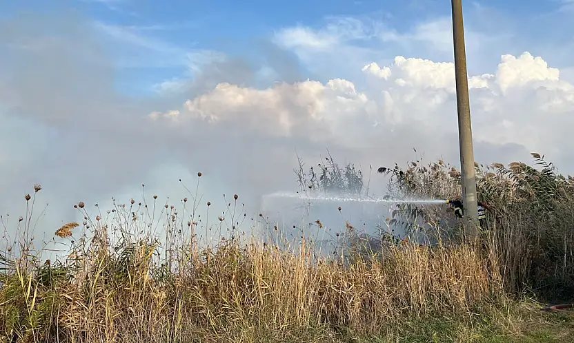 Milas Ekinambarı'nda Otluk Yangını Korkuttu