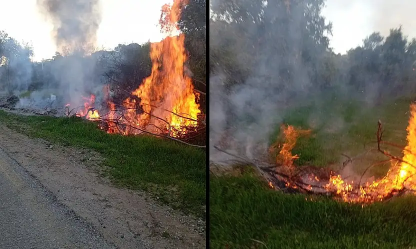 Milas Fesleğen'de Çıkan Yangın Hızla Söndürüldü