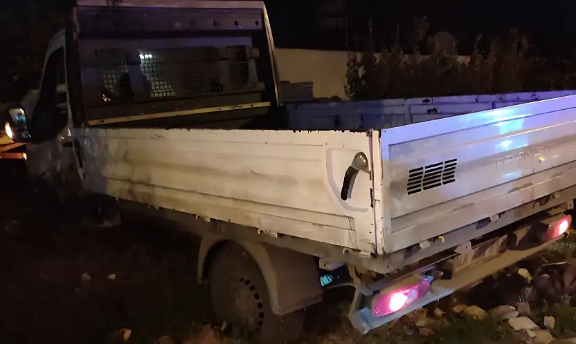 Milas'ta Aniden Yola Fırlayan Köpek, Kazaya Sebep Oldu