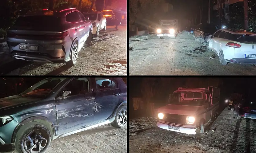 Milas'ta Mahalleyi Sarsan Kaza: Kamyonet Üç Aracı Pert Etti 1 Kişi Yaralandı