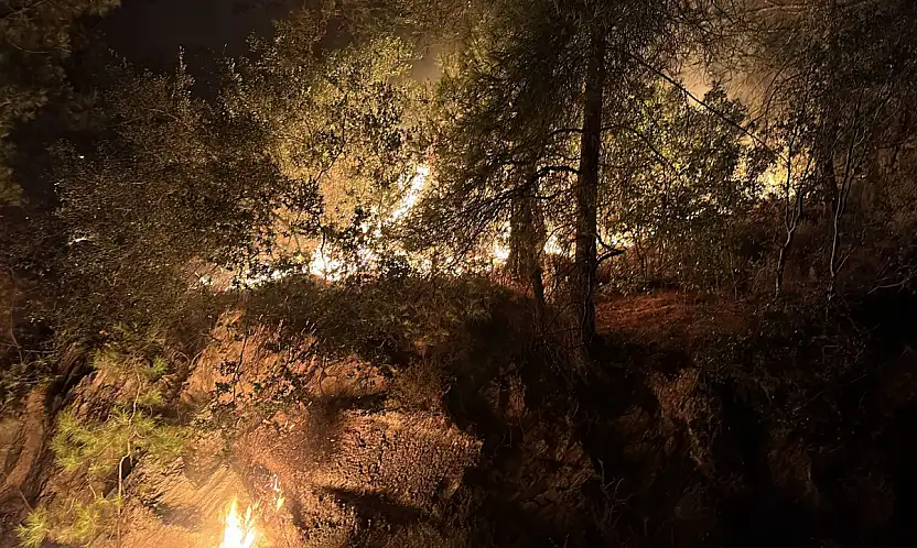 Milas'ta Orman Yangını Büyümeden Kontrol Altına Alındı