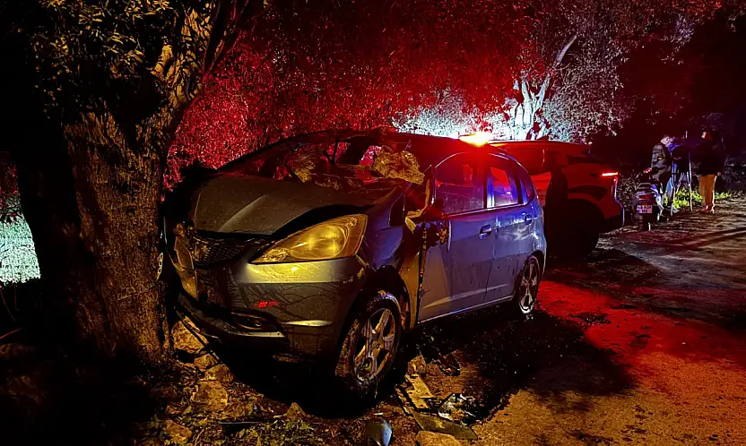 Milas'ta otomobil zeytin ağacına çarpıp takla attı: Sürücü yaralandı