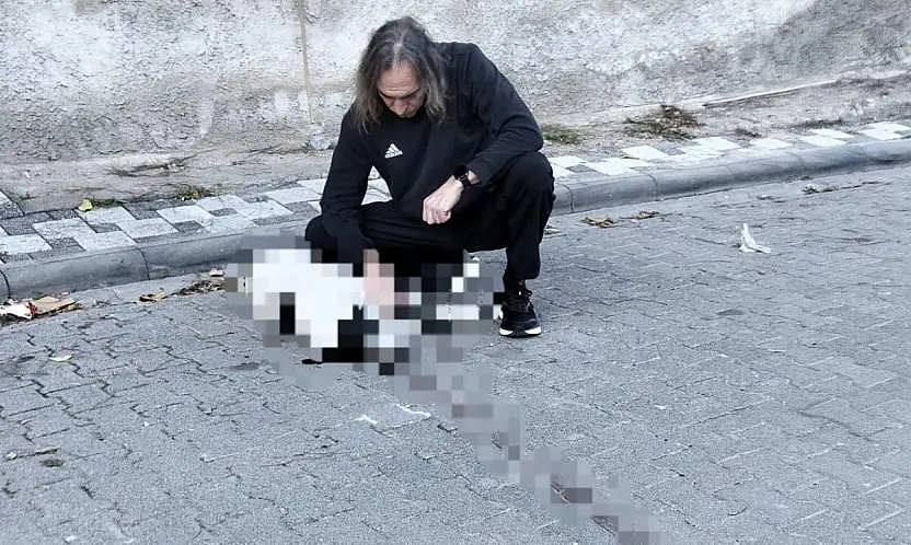 Milas'ta Vicdanları Yaralayan Olay: Köpeğe Çarpıp Arkasına Bakmadan Kaçtı!