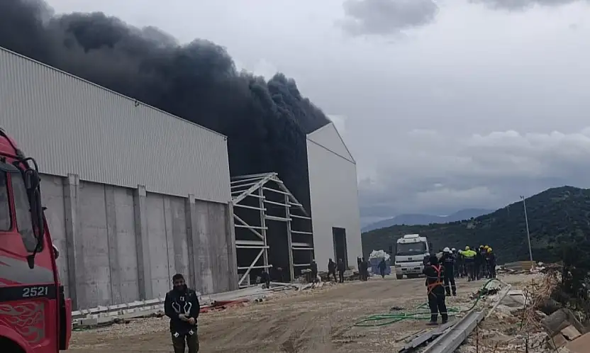 Son Dakika: Milas'ta Balık Firmasına Ait Depoda Büyük Yangın