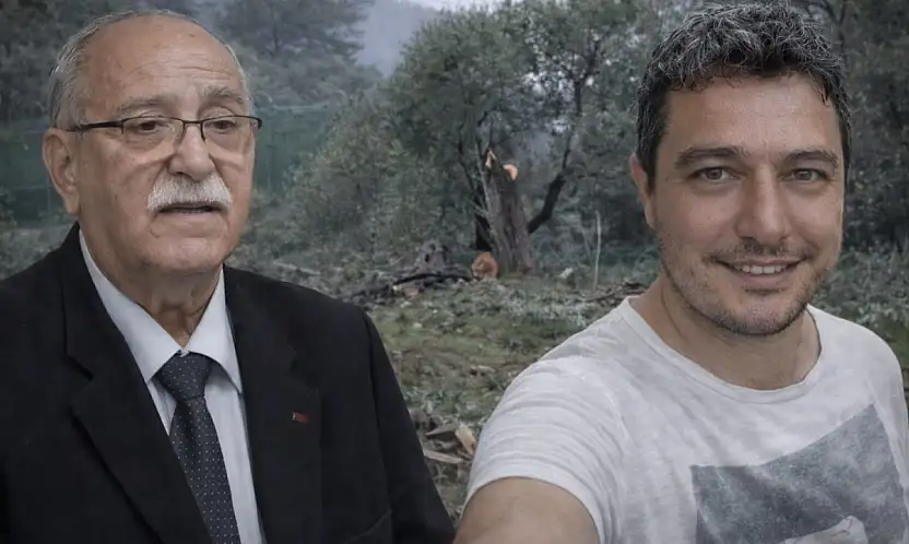 Milas'ta zeytin ağacı kesme tartışmaları büyüyor: Ahmet Kılbey'in damadı görevden alındı