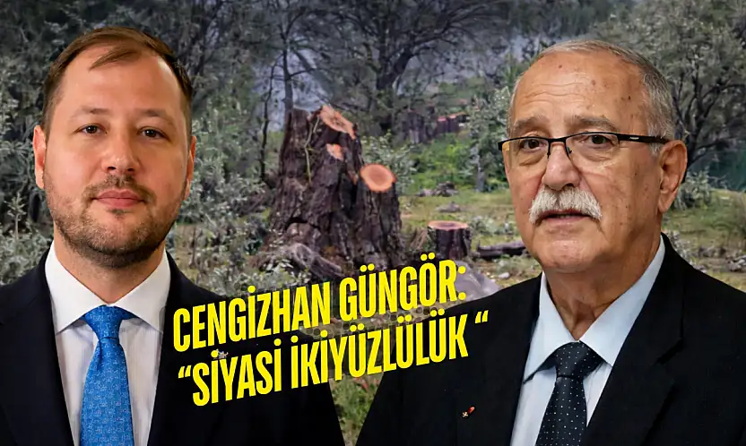 'Zeytinler fırtınada devrildi' dedi: Milas'ta CHP'li başkanın zeytin ağaçlarıyla ilgili tartışma büyüyor