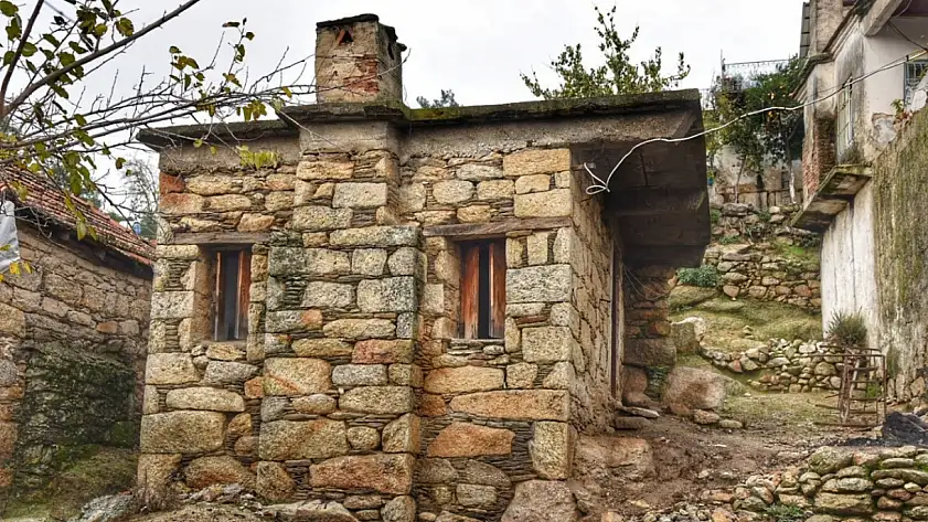 Dünyanın yaşayan tek canlı müzesinin Milas'ta olduğu ortaya çıktı